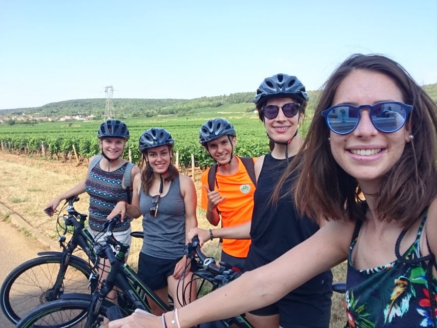 Dijon: Half-Day Guided Gourmet Bike Tour - Why this easy vineyard ride works near Dijon