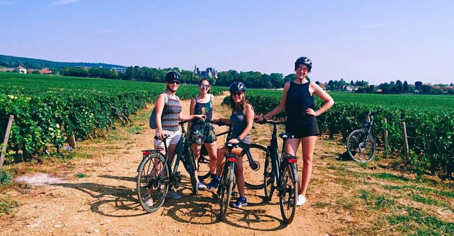 Dijon: Half-Day Guided Gourmet Bike Tour - Bike setup and ride level on the SCOTT Sub Sport