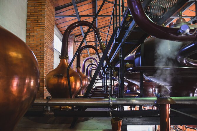 Discover Braastad Cognac - 90 minutes of production, not a sales pitch