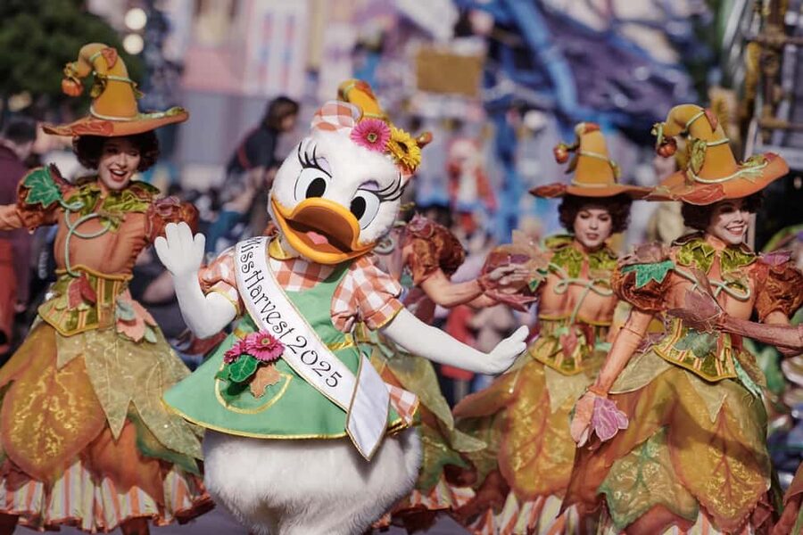 Disneyland® Paris Tickets and Shuttle Transport - Key Points I’d Emphasize Before You Go