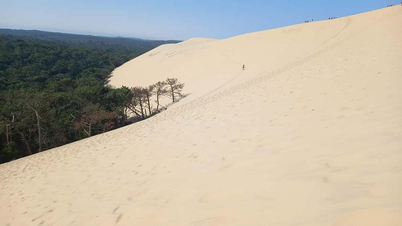 Dune du Pilat, Oysters Tasting and Arcachon! What else ? - The Dune du Pilat is the headline, and it earns it