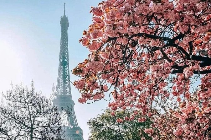 Eiffel Tower Dedicated Reserved Access Top or 2nd floor by lift - Group Size, Weather, and Crowd Reality