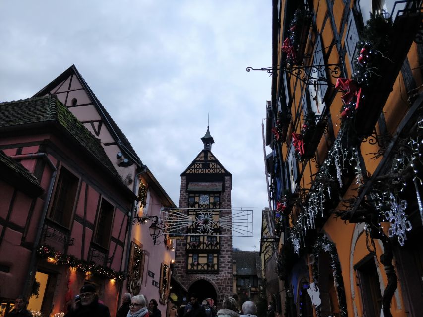 Enchanting Christmas Experience From Colmar - Morning run, vineyards, and the feeling that time gets calmer