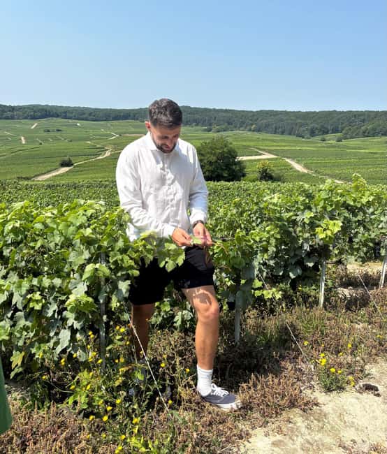 Epernay : Atypical Champagne tasting with a great view - A panoramic Champagne moment in central Épernay