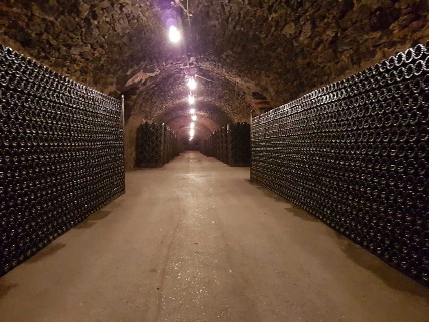Epernay: Guided Tour of Champagne Cellar with Tastings - Should You Book the Vollereaux Champagne Cellar Tour?