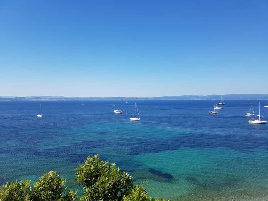Excursion to Porquerolles Island from Bandol - Key highlights worth planning around