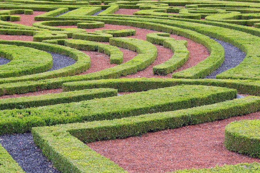 Fontainebleau & Vaux-le-Vicomte Châteaux Day Tour from Paris - Practical Tips That Improve Your Day