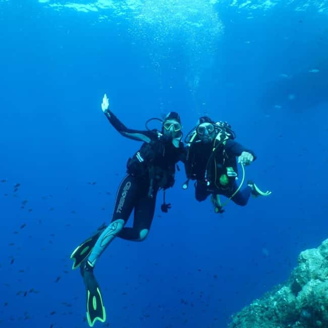 Fréjus: Diving Experience in Port-Fréjus with an Instructor - Why Port-Fréjus Works So Well for a Scuba Session