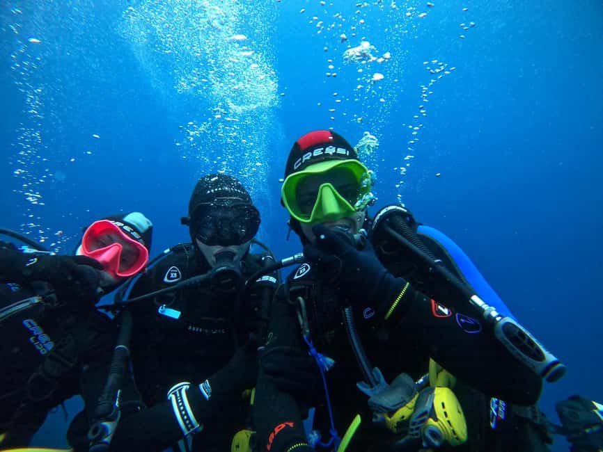 Fréjus: Diving Experience in Port-Fréjus with an Instructor - Fish Schools and Marine Life: How to Make the Most of Your Time