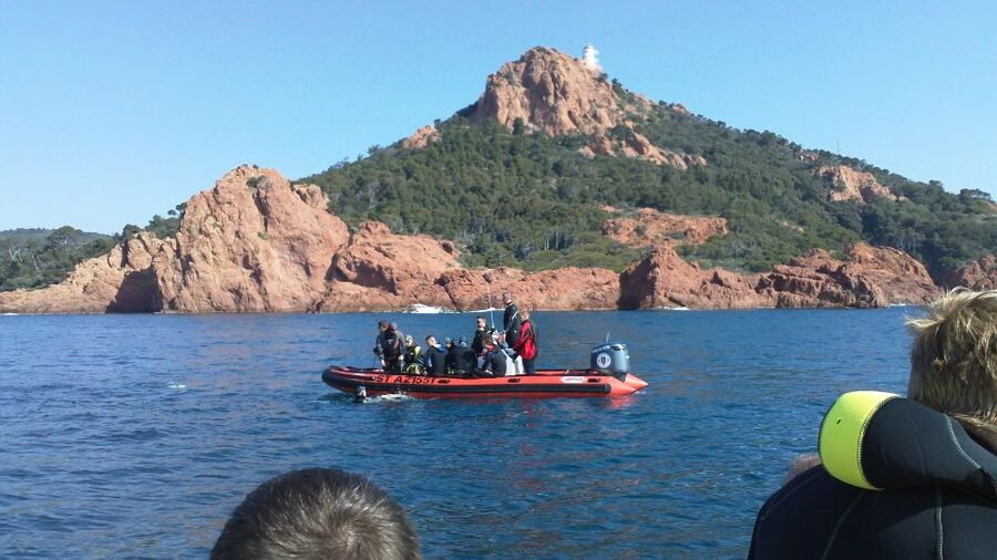 Fréjus: Diving Experience in Port-Fréjus with an Instructor - A Few Logistics to Know Before You Go