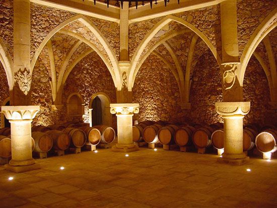 French Riviera: Provencal Wine Tour - Private van, small-group feel, and a guide who sets the tone