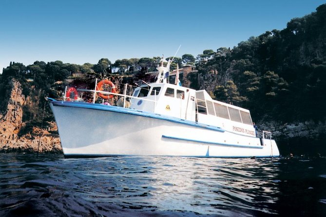 French Riviera Villefranche Bay Snorkeling Tour from Nice - What the snorkeling hour actually feels like