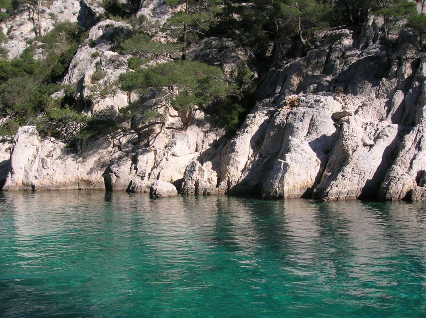 From Aix: Cassis Boat Ride & Provence Wine Tasting Day Tour - Timing and Lunch: Where the Day Feels Relaxed or Slightly Fast