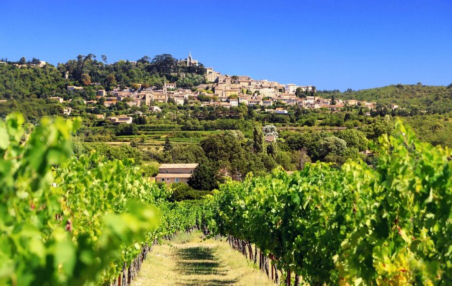From Aix-en-Provence: Half-Day Wine Tour - What you’ll learn: history and winemaking, not just pouring