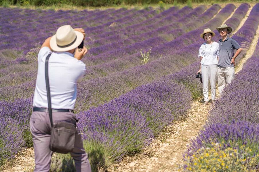 From Aix-en-Provence: Lavender Half Day Tour - The Farm Visit: How Lavender Turns Into Distilled Products