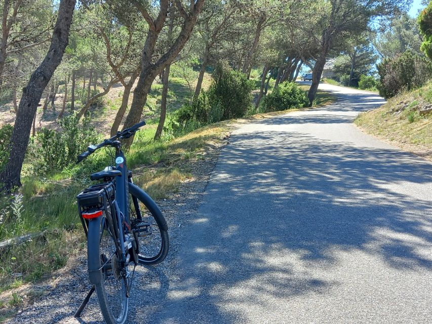 From Aix-en-Provence: Luberon Region E-Bike Full-Day tour - Who should book this e-bike day in the Luberon