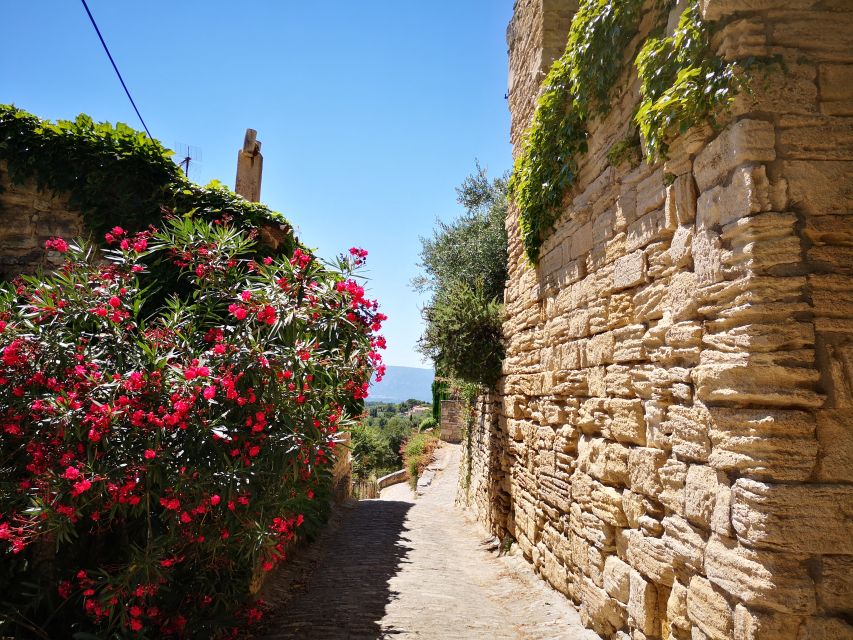 From Aix en Provence: Luberon Villages Full-Day Guided Tour - Who This Luberon Day Trip Suits Best