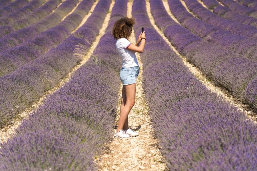From Aix-en-Provence: Sault Lavender & Gordes Full-Day Tour - Key Points That Matter Before You Go