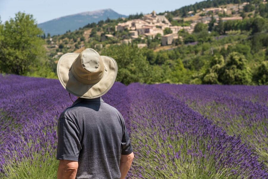 From Aix-en-Provence: Sault Lavender & Gordes Full-Day Tour - The Lavender Farm and Distillation Lesson: From Purple Flowers to Products
