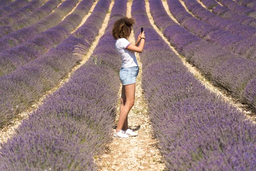 From Aix-en-Provence: Valensole Lavender Full-Day Tour - Moustiers-Sainte-Marie: free time in one of Provence’s best village settings