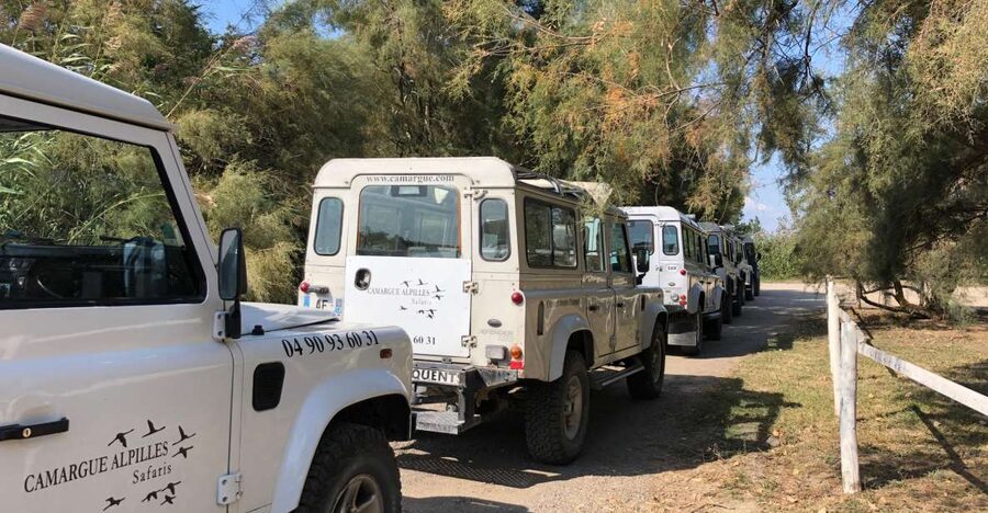 From Arles: Half-Day 4x4 Camargue Safari - The route and pacing: what the 4 hours actually feels like