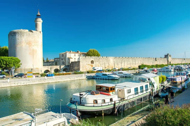From Avignon: Camargue Tour with Bird Park Entry - The best parts: marsh birds, then Louis IX ramparts
