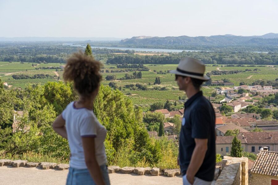 From Avignon: Châteauneuf du Pape Half-Day Wine Tour - Key highlights to look for
