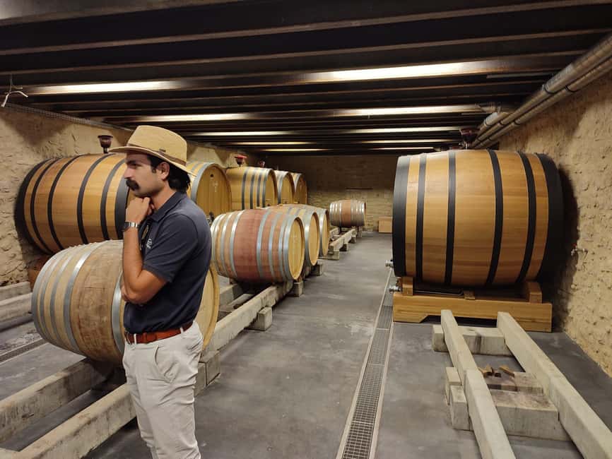 From Avignon: Châteauneuf du Pape Half-Day Wine Tour - Timing, Pace, and What to Do With Your Senses