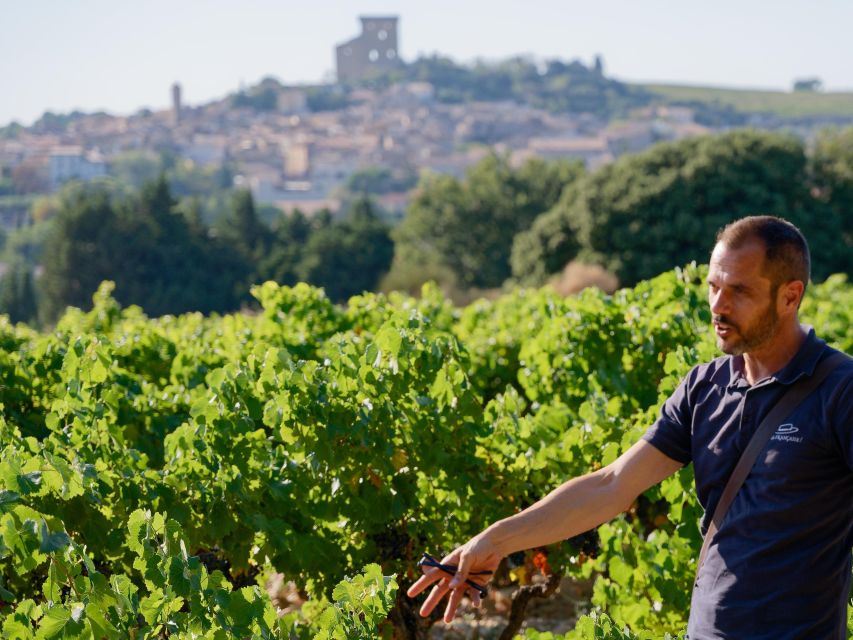 From Avignon: Châteauneuf du Pape Half-Day Wine Tour - What to Bring, What Not to Bring