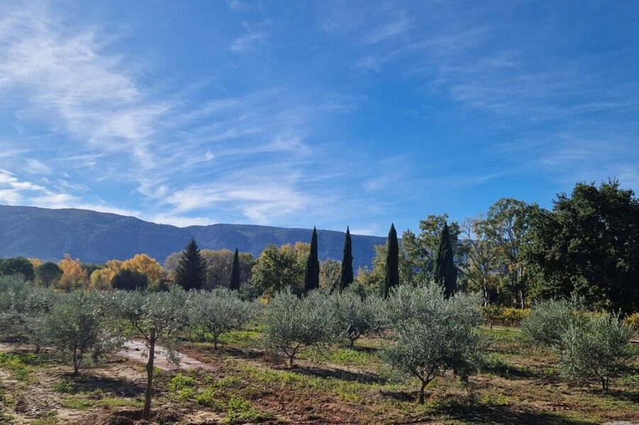 From Avignon: Full-Day E-Bike Tour in the Luberon Region - Key highlights you should circle first