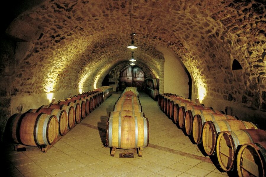 From Avignon: Half-Day Great Vineyards Tour - How the Tastings Usually Work (And How to Get the Most Out of Them)