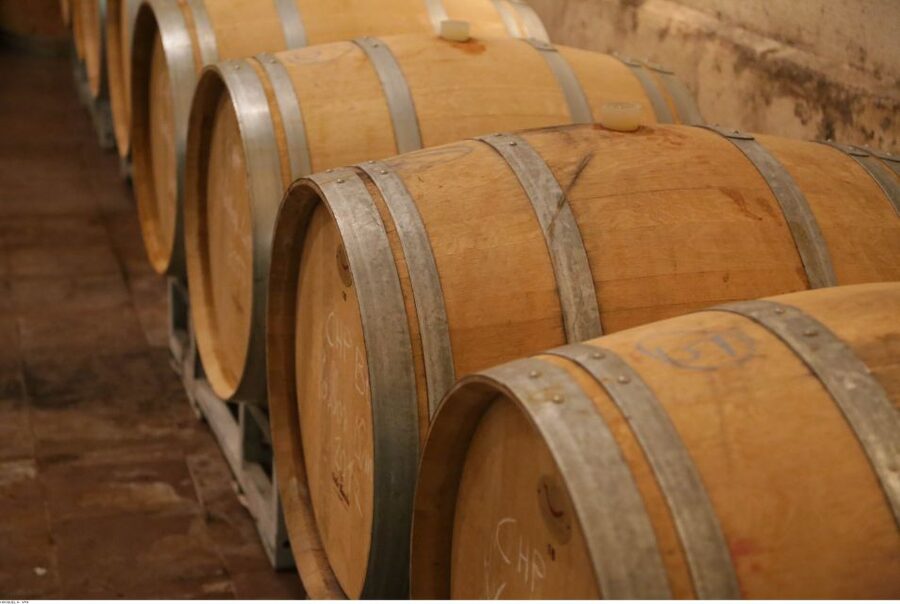 From Avignon: Half-Day Great Vineyards Tour - Price and Value: Is $94 Worth It for 5 Hours?