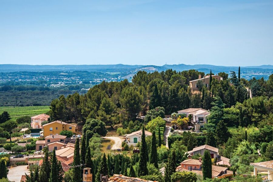 From Avignon: Half-Day Great Vineyards Tour - Who Should Book This Tour, and Who Might Prefer Something Else