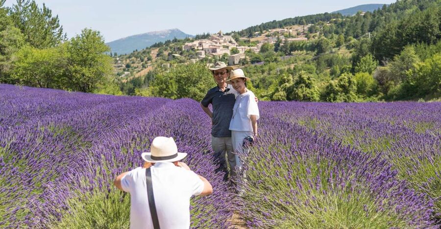 From Avignon: Half-Day Lavender Tour of Luberon - Key highlights that make this tour work