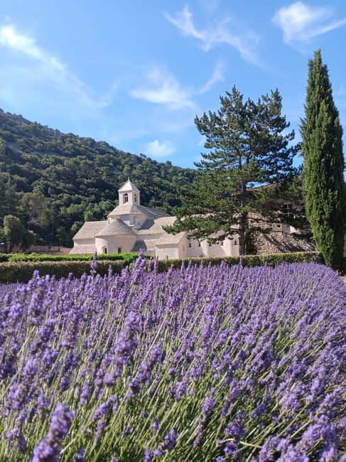 From Avignon: Half-Day Lavender Tour of Luberon - Sénanque Abbey: a classic photo moment during bloom
