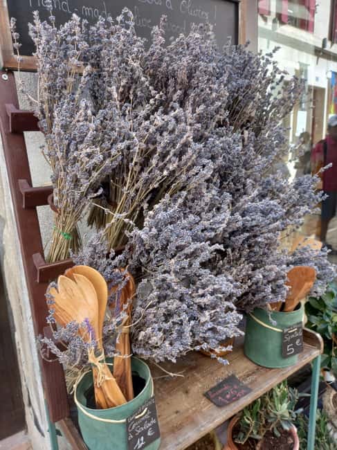 From Avignon: Half-Day Lavender Tour of Luberon - Who should book this tour (and who should skip it)