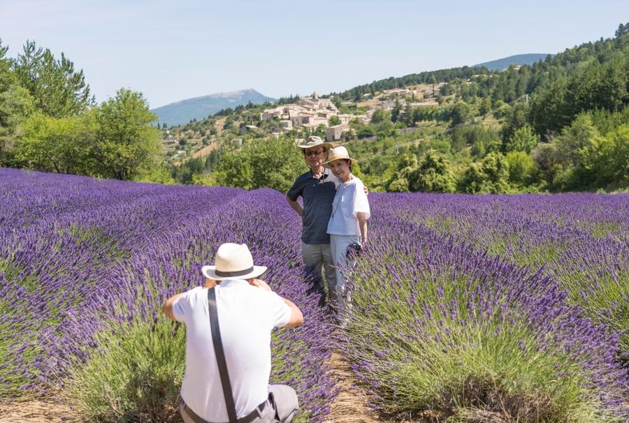 From Avignon: Half-Day Lavender Tour of Luberon - The minibus ride and your first lavender field stops