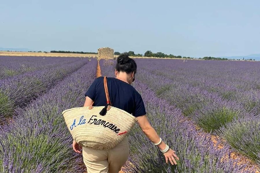 From Avignon: Half Day Lavender Tour to Sault - Lavender Trip Highlights, in Plain English
