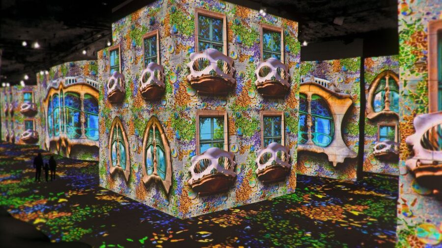 From Avignon: Half-Day Van Gogh & Carrières de Lumières Tour - Pacing reality check: how to avoid the rushed feeling