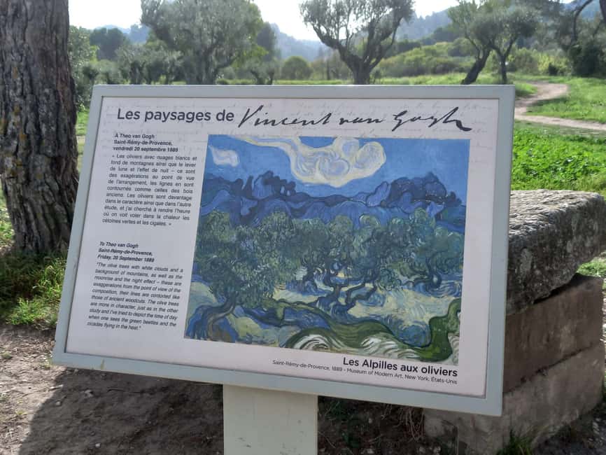 From Avignon: In the Footsteps of Van Gogh in Provence - Saint-Paul de Mausole, stepping into the olive-tree version of quiet