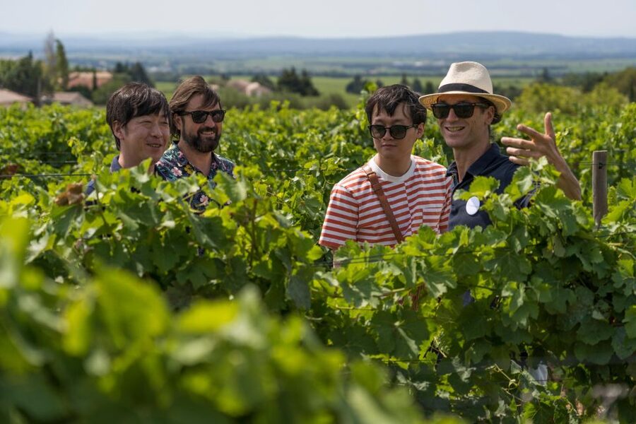 From Avignon: Luberon and Chateauneuf-du-Pape Full-Day Tour - Key highlights at a glance