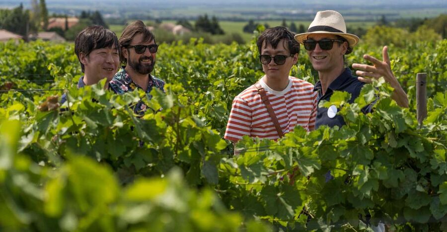 From Avignon: Luberon and Chateauneuf-du-Pape Full-Day Tour - Getting from Avignon to the Luberon: the first colors of Provence