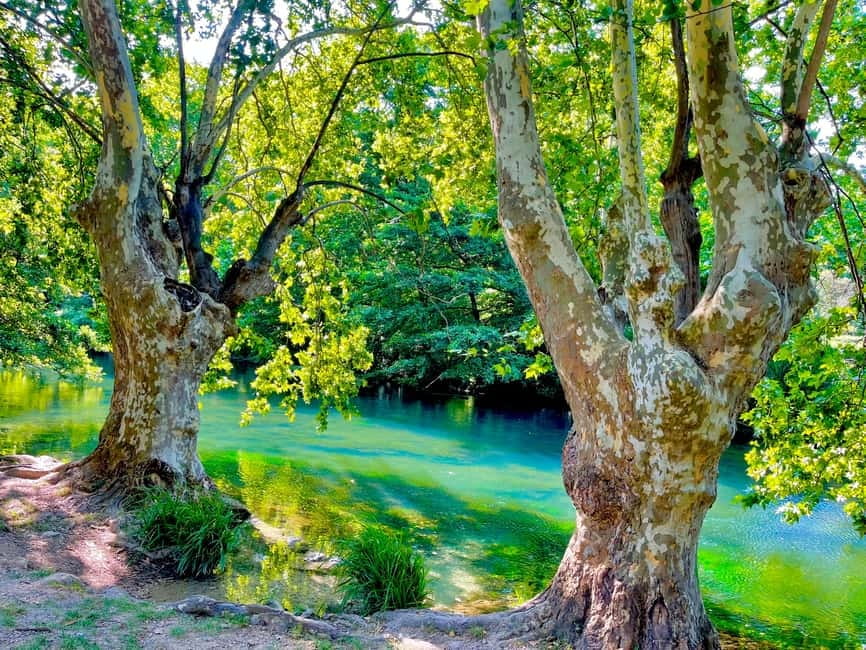 From Avignon: Provence Highlights Full-Day Tour - Key highlights you should care about