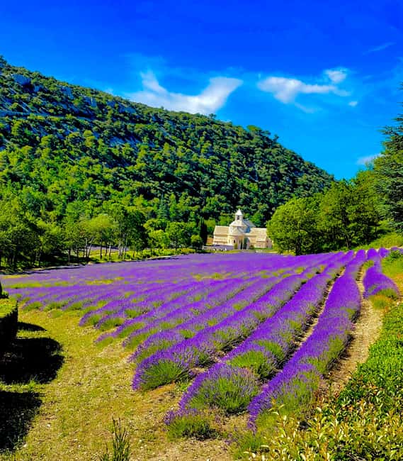 From Avignon: Provence Highlights Full-Day Tour - Luberon villages like Gordes: limestone views without the bus hassle