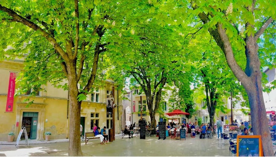 From Avignon: Provence Highlights Full-Day Tour - Saint Remy de Provence for Nostradamus and Van Gogh