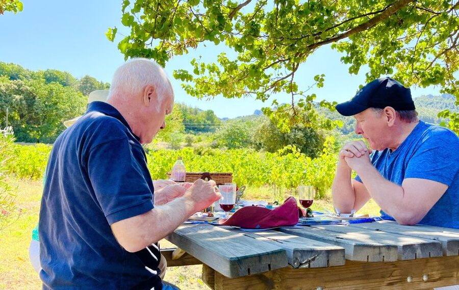 From Avignon: Roman Tour to Pont du Gard, Nîmes & Orange - Key highlights worth planning for