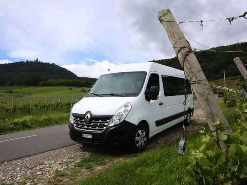 From Basel: day trip to Colmar, Hohkönigsburg, Ribeauvillé - Who This Basel to Alsace Day Trip Suits Best