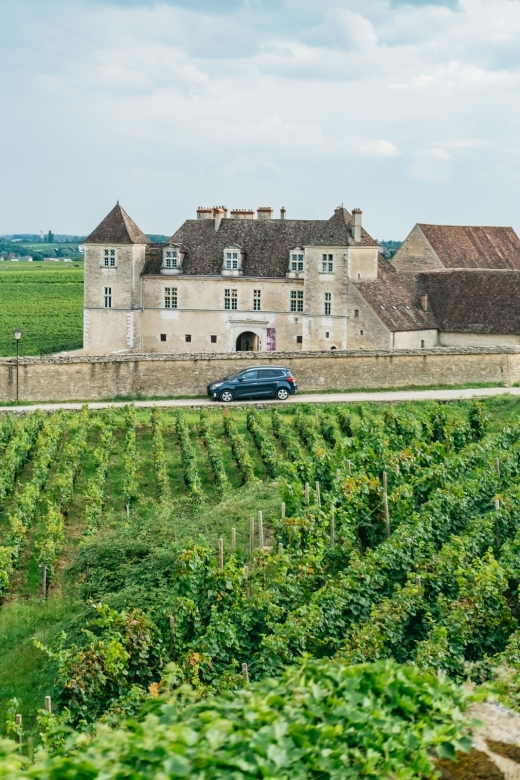 From Beaune: Burgundy Day Trip with 14 Wine Tastings - Key highlights at a glance