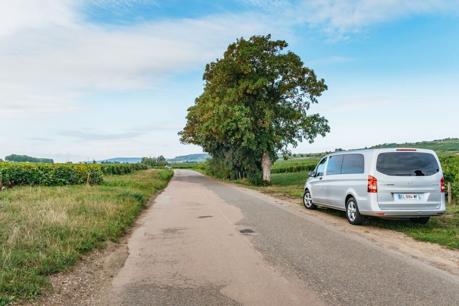From Beaune: Burgundy Day Trip with 14 Wine Tastings - What you’re really paying for at $294 per person