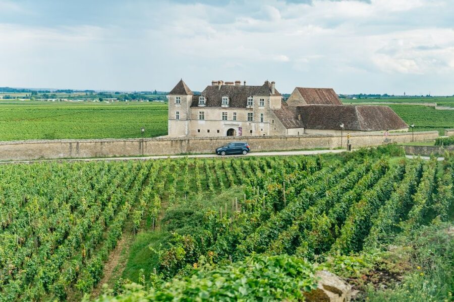 From Beaune: Burgundy Day Trip with 14 Wine Tastings - Why Beaune is your best starting point for Burgundy’s big names
